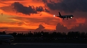 JFK_Scenes_7-2017 (1)_B